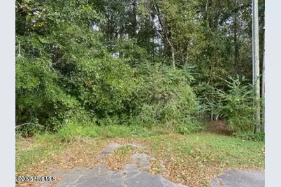 0 Near 715 E 1st Avenue, Chadbourn, NC 28431 - Photo 1