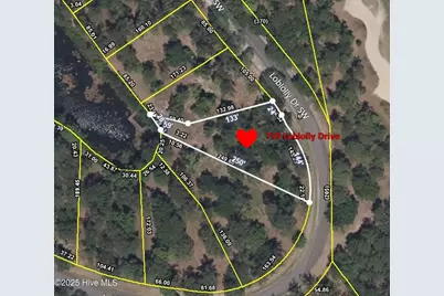 739 Loblolly Drive SW, Shallotte, NC 28470 - Photo 5