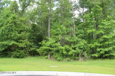 1404 Pindo Court SE, Bolivia, NC 28422 - Photo 1