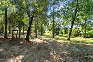 255 Sarason Pl, Vass, NC 28394 - Photo 51