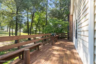 255 Sarason Pl, Vass, NC 28394 - Photo 41