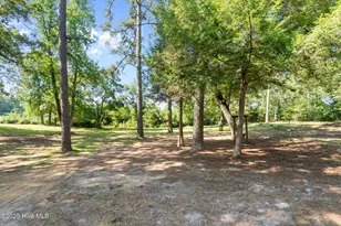 255 Sarason Pl, Vass, NC 28394 - Photo 47