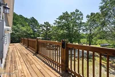 364 Murray Turner Farm Road, Burgaw, NC 28425 - Photo 45