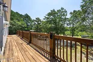 364 Murray Turner Farm Rd, Burgaw, NC 28425 - Photo 45