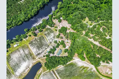 364 Murray Turner Farm Road, Burgaw, NC 28425 - Photo 69