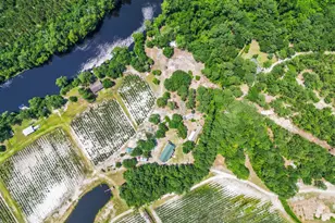 364 Murray Turner Farm Rd, Burgaw, NC 28425 - Photo 69