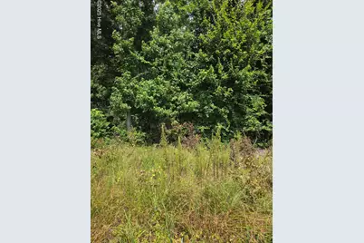 0 Chapman Drive-Lots 19 & 20 Drive, Grifton, NC 28530 - Photo 1