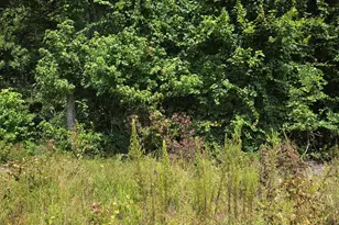 0 Chapman Drive-Lots 19 & 20 Dr, Grifton, NC 28530 - Photo 1