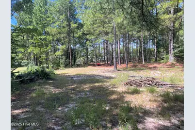 161 & 195 Ellington Drive, Raeford, NC 28376 - Photo 3
