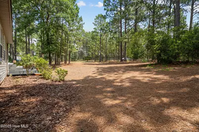 265 Longleaf Drive, West End, NC 27376 - Photo 39