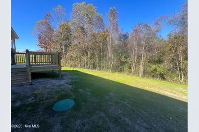 133 Dallas Drive, Beulaville, NC 28518 - Photo 15