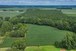 175 Union Hall Rd, Hertford, NC 27944 - Photo 29