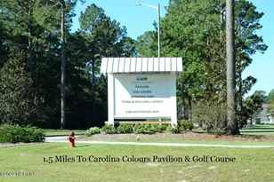 4010 Grouper Run, New Bern, NC 28562 - Photo 41