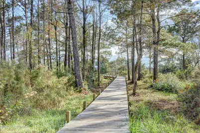 339 Landon Lane, Sneads Ferry, NC 28460 - Photo 19