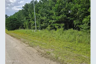 Lot 10 & 9 Powell Lane, Loris, SC 29569 - Photo 3