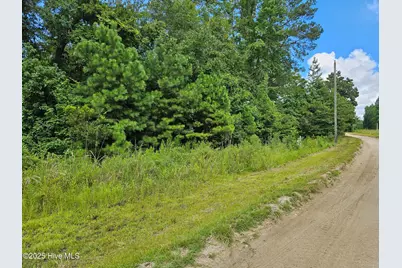 Lot 10 & 9 Powell Lane, Loris, SC 29569 - Photo 5