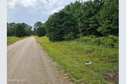 Lot 10 & 9 Powell Lane, Loris, SC 29569 - Photo 1