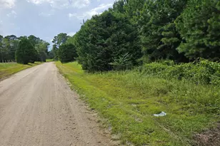 Lot 10 & 9 Powell Ln, Loris, SC 29569 - Photo 1