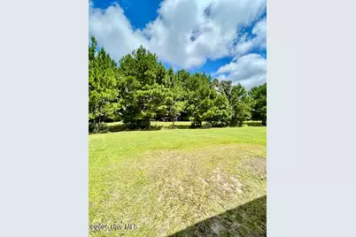 309 Russ Road, Loris, SC 29569 - Photo 25