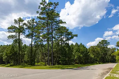 1559 N Bimini Road, Shallotte, NC 28470 - Photo 15