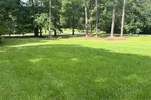 212 McLean St, Spring Hope, NC 27882 - Photo 33