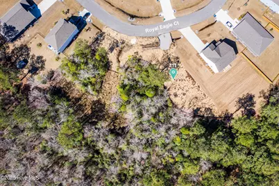 311 Royal Eagle Court, Sneads Ferry, NC 28460 - Photo 1