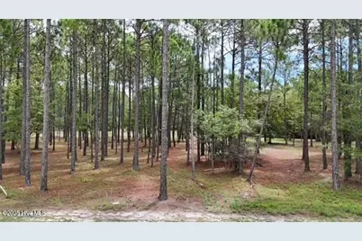 6444 Waterbrook Way SW, Ocean Isle Beach, NC 28469 - Photo 1