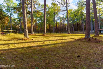 292 Bump A Long Lane, Southern Pines, NC 28387 - Photo 25