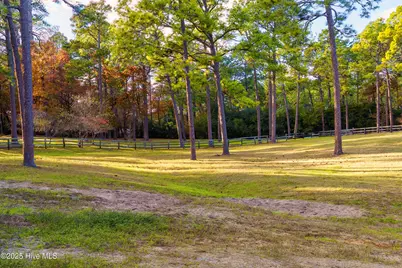 292 Bump A Long Lane, Southern Pines, NC 28387 - Photo 21