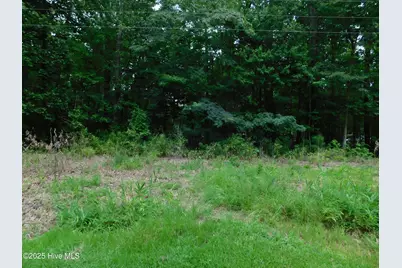 93 Tranquility Lane, Hertford, NC 27944 - Photo 1