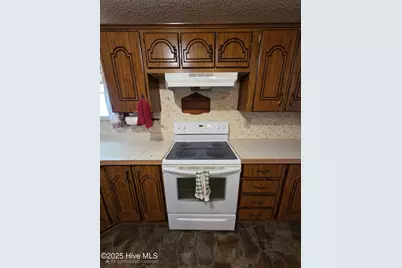 6021 X Way Road, Gibson, NC 28343 - Photo 19