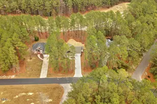 30121 Deercroft Dr, Wagram, NC 28396 - Photo 41