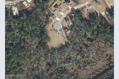 171 Evergreen Forest Court, Sneads Ferry, NC 28460 - Photo 9