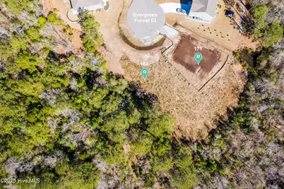171 Evergreen Forest Court, Sneads Ferry, NC 28460 - Photo 3