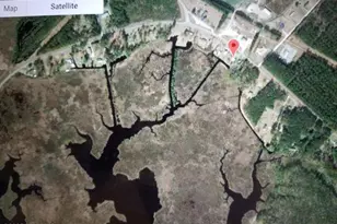 39488 Hwy Nc 264 E, Belhaven, NC 27810 - Photo 5