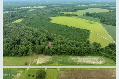 393 Moltonville Road, Clinton, NC 28328 - Photo 41