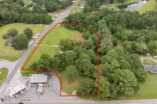 3901 S US 117 Alt Hwy, Dudley, NC 28333 - Photo 3