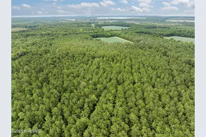0 Sr 1954, Blounts Creek, NC 27814 - Photo 21