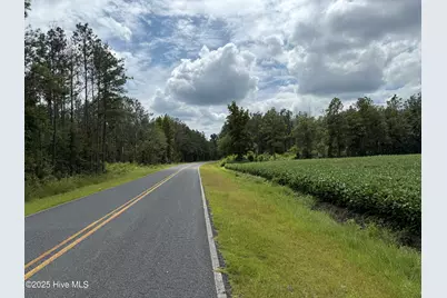 0 Sr 1954, Blounts Creek, NC 27814 - Photo 3
