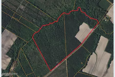 0 Sr 1954, Blounts Creek, NC 27814 - Photo 9