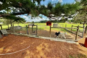 1885 Bennett Rd, Oak City, NC 27857 - Photo 137