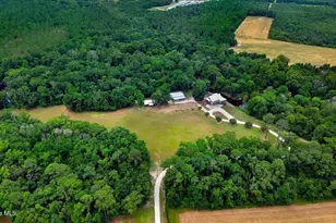 839 Henderson Rd, Trenton, NC 28585 - Photo 57