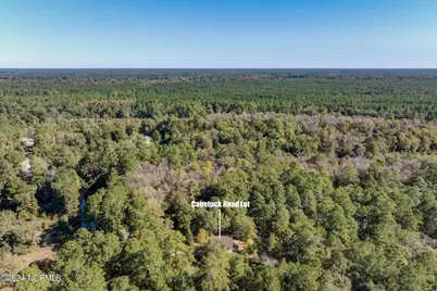 6715 Canetuck Road, Currie, NC 28435 - Photo 37