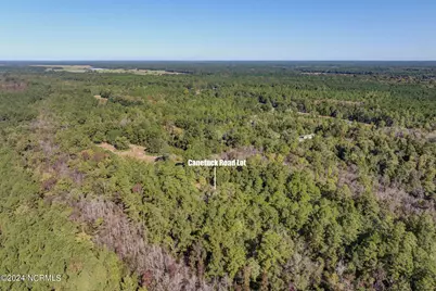 6715 Canetuck Road, Currie, NC 28435 - Photo 41