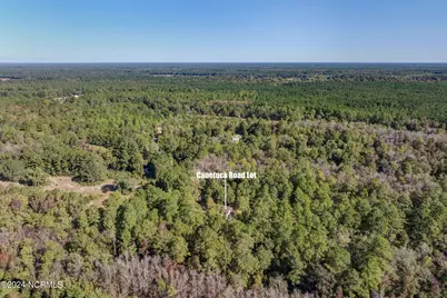 6715 Canetuck Road, Currie, NC 28435 - Photo 35
