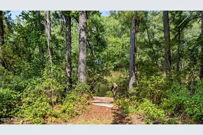 809 Sailhaven Drive, Oriental, NC 28571 - Photo 17