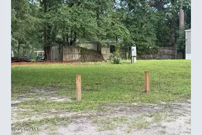 3205 Mt Misery Road NE, Leland, NC 28451 - Photo 1
