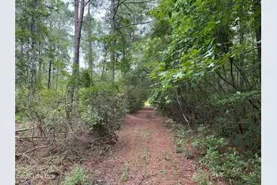 0 Sr 1932, Aurora, NC 27806 - Photo 5
