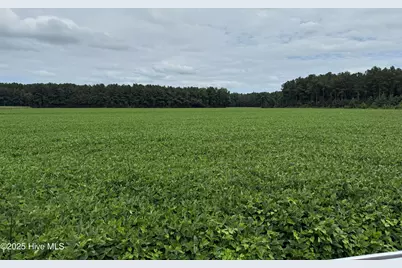 0 Sr 1932, Aurora, NC 27806 - Photo 9