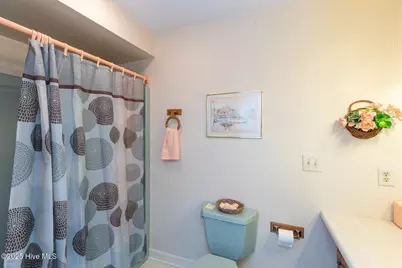 241 Firetree Lane, West End, NC 27376 - Photo 23